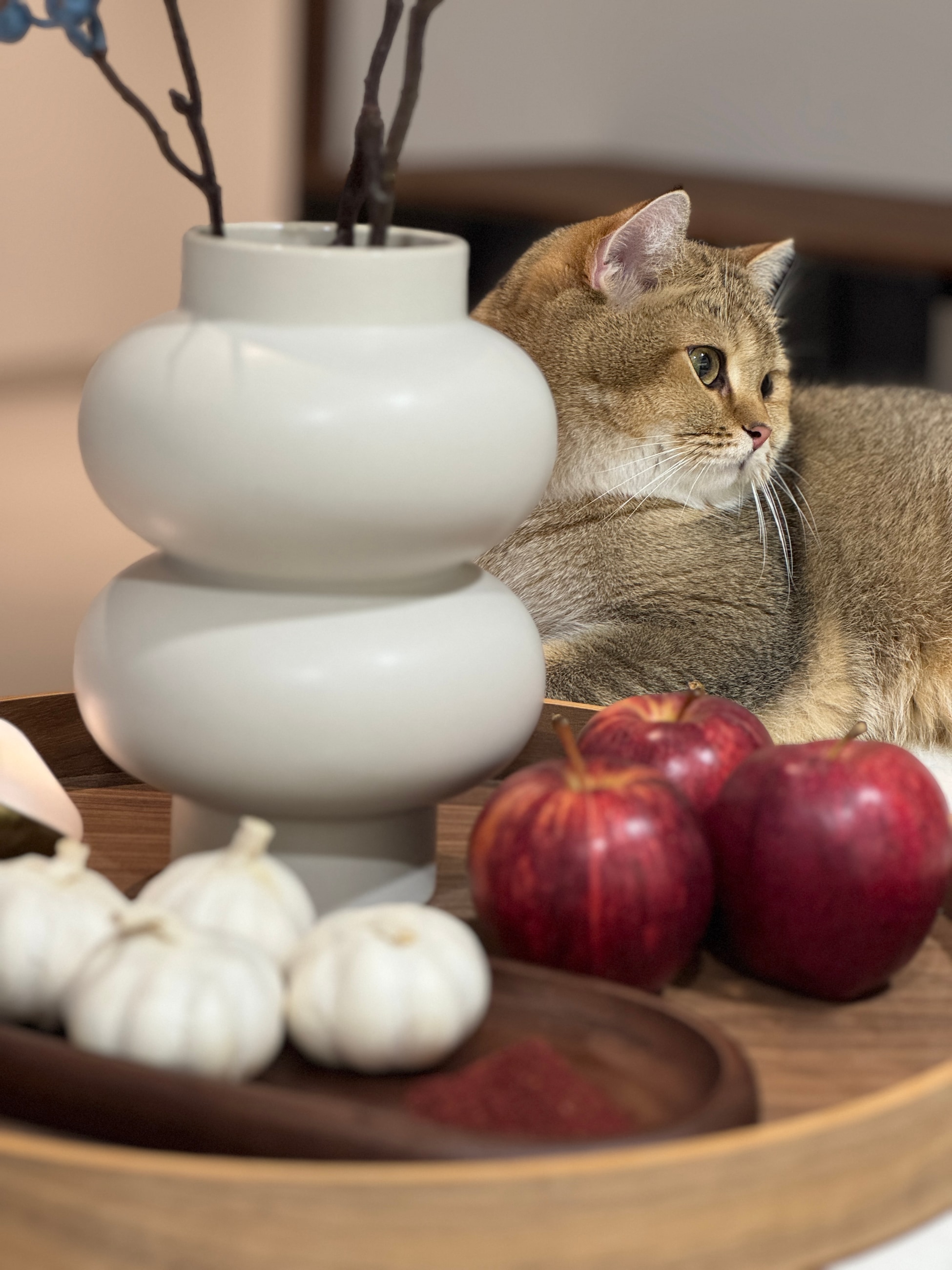 Pumo takes his anti-hairball routine seriously